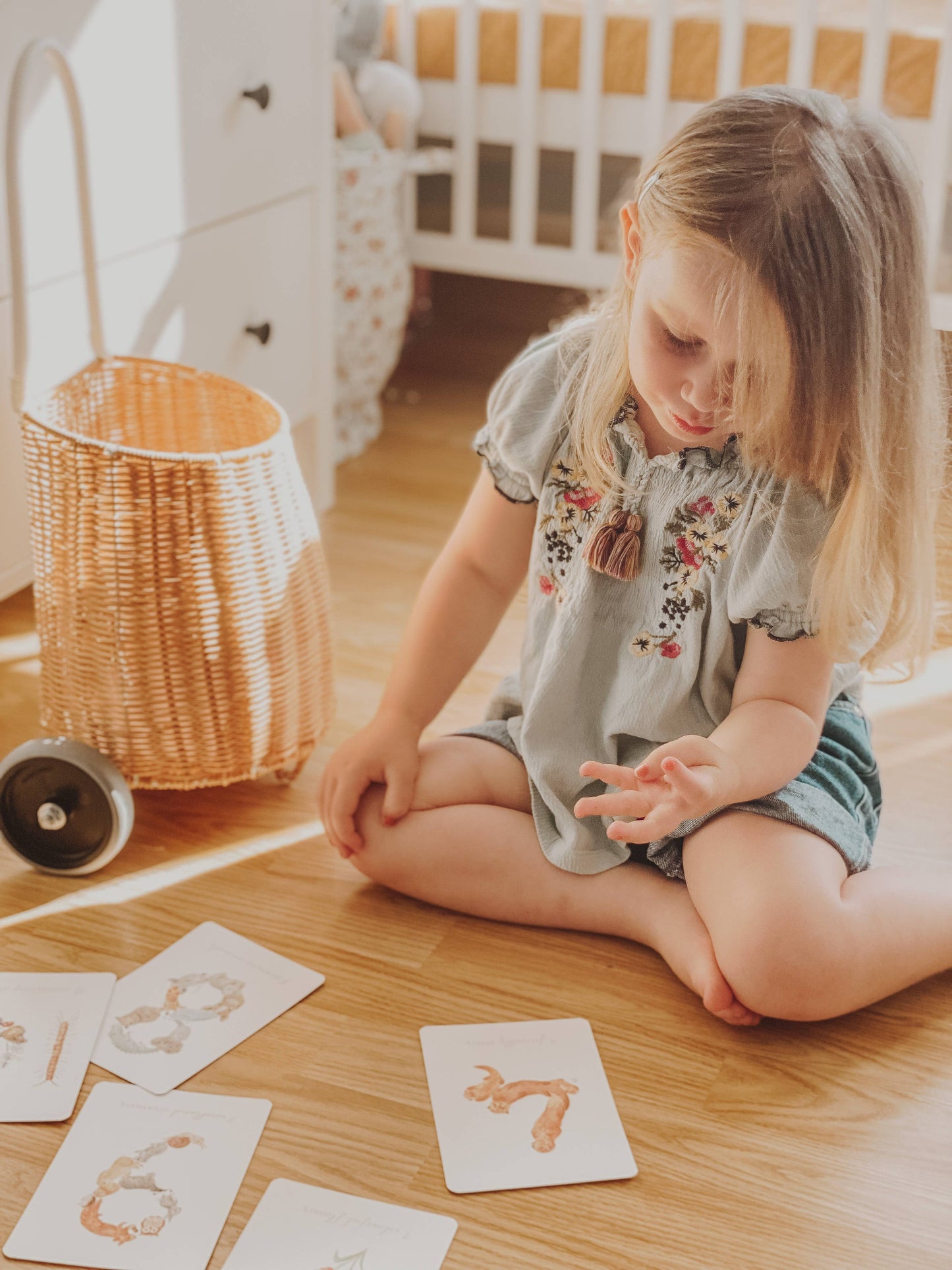 Number Flashcards