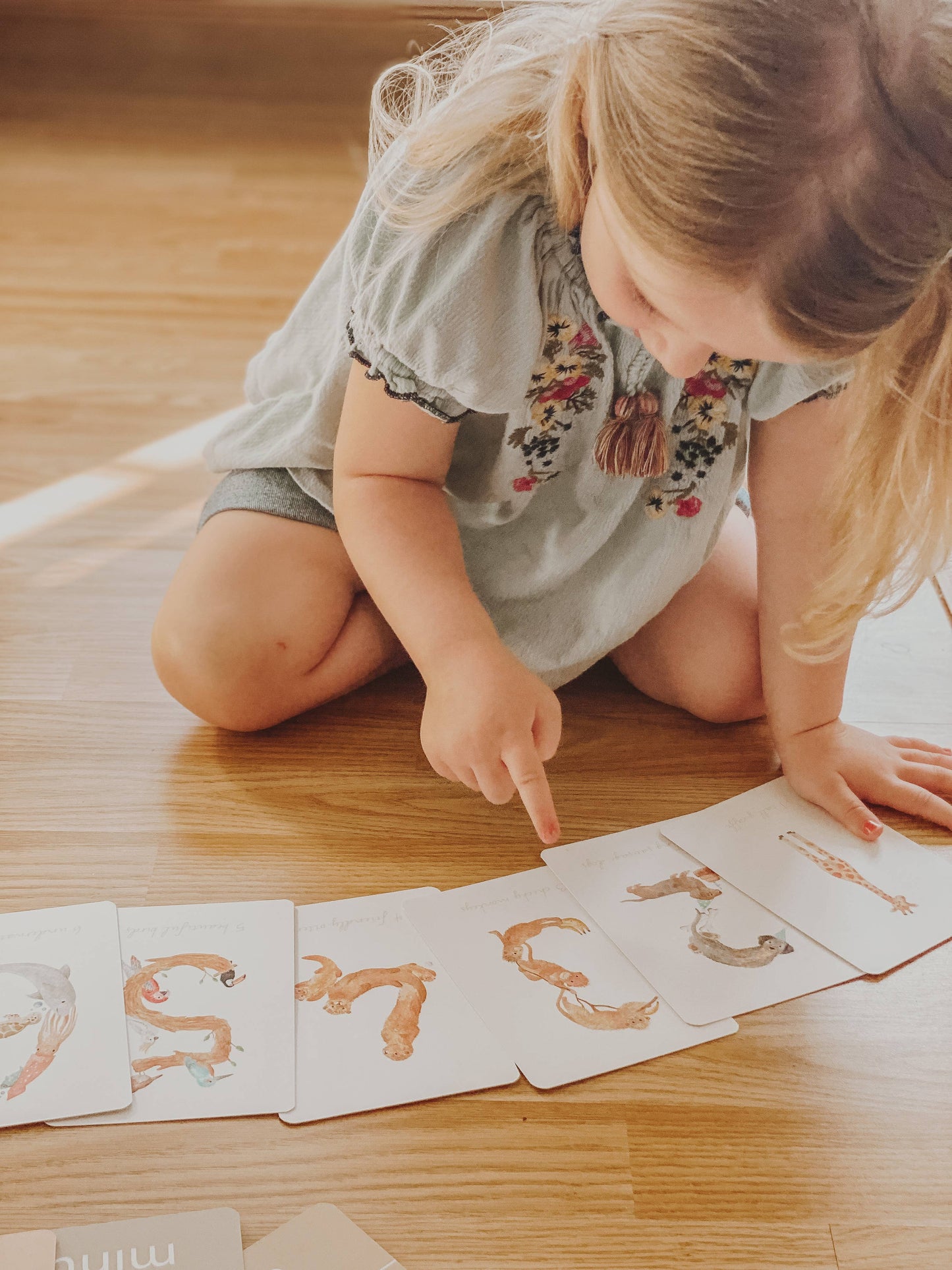 Number Flashcards
