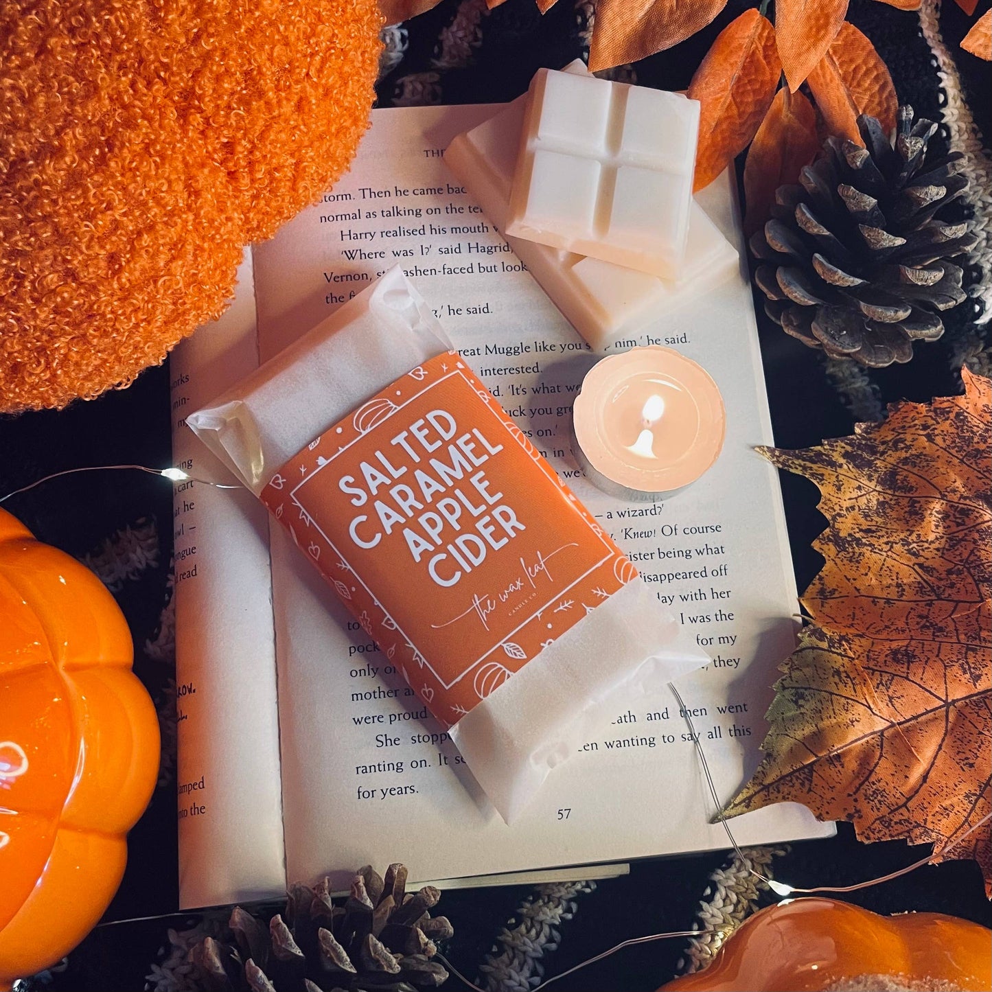 Autumn Soy Wax Melts, Salted Caramel Apple Cider