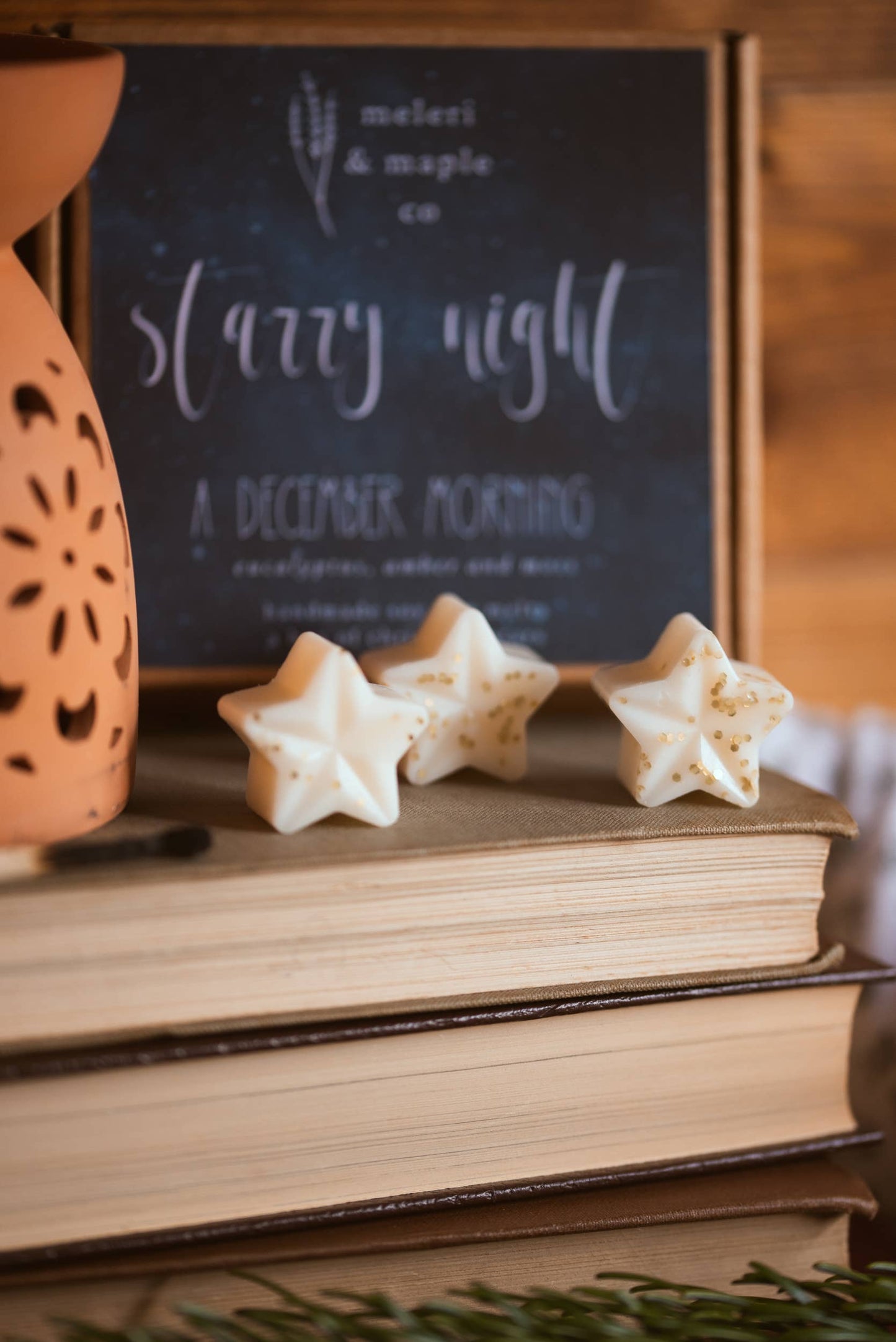 Starry Night - A Box of Christmas Star Wax Melts