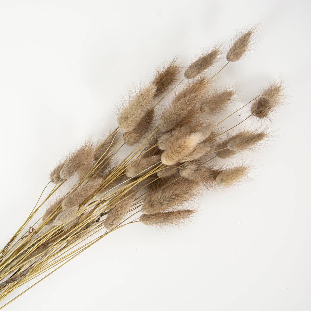 Bunny Tails Natural