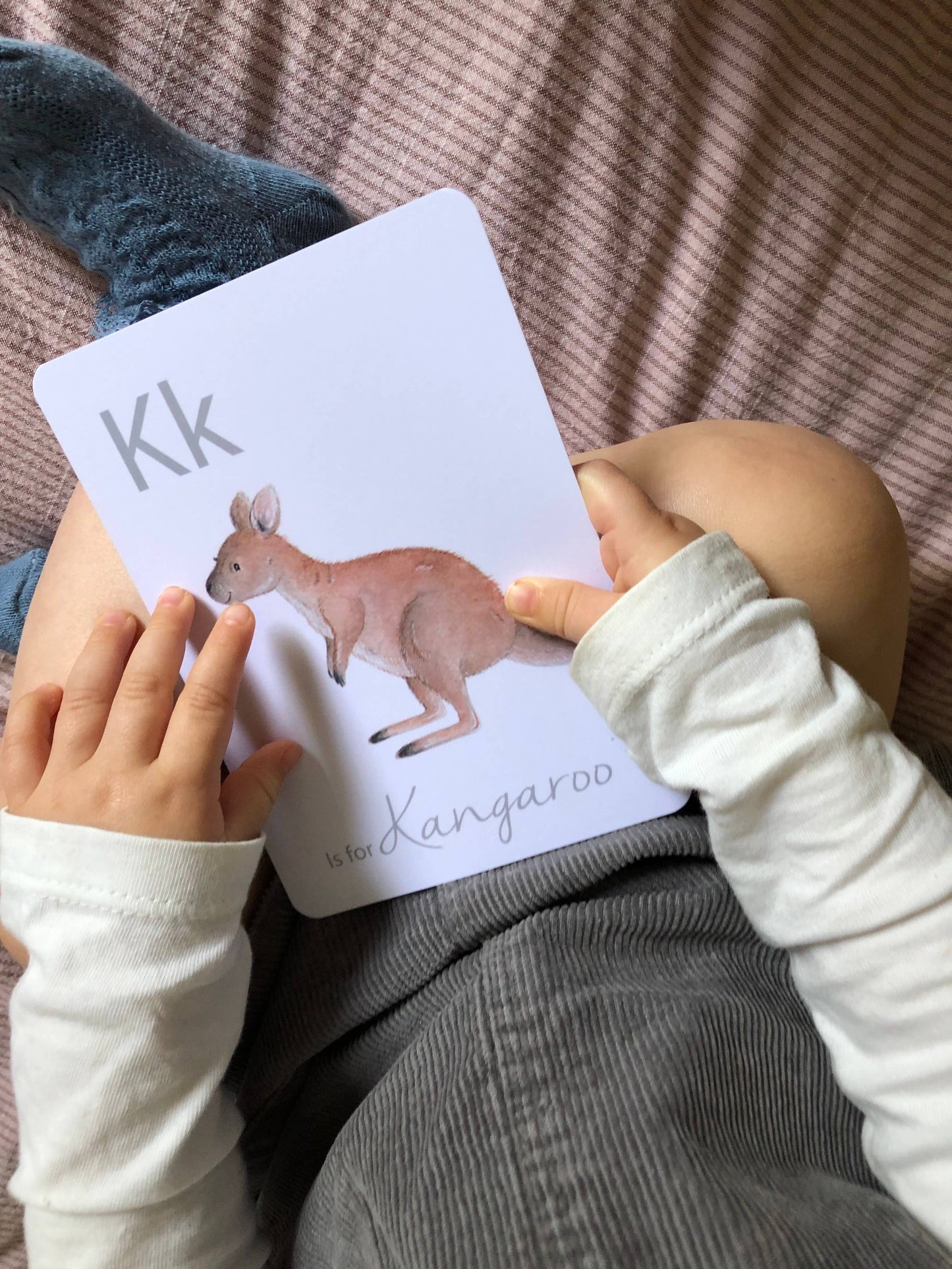 Animal Alphabet Flashcards