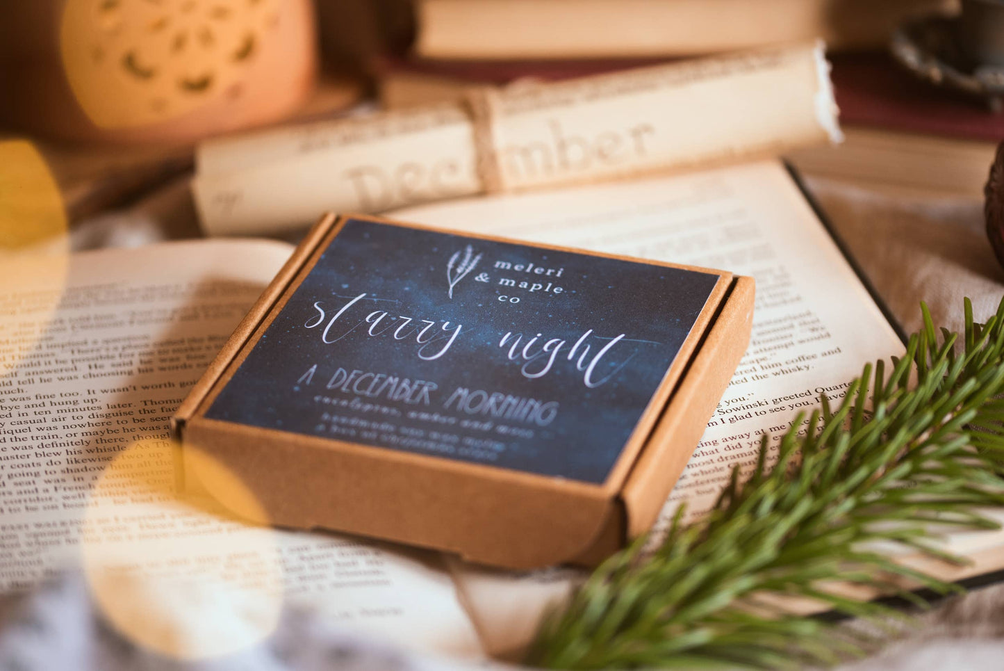 Starry Night - A Box of Christmas Star Wax Melts