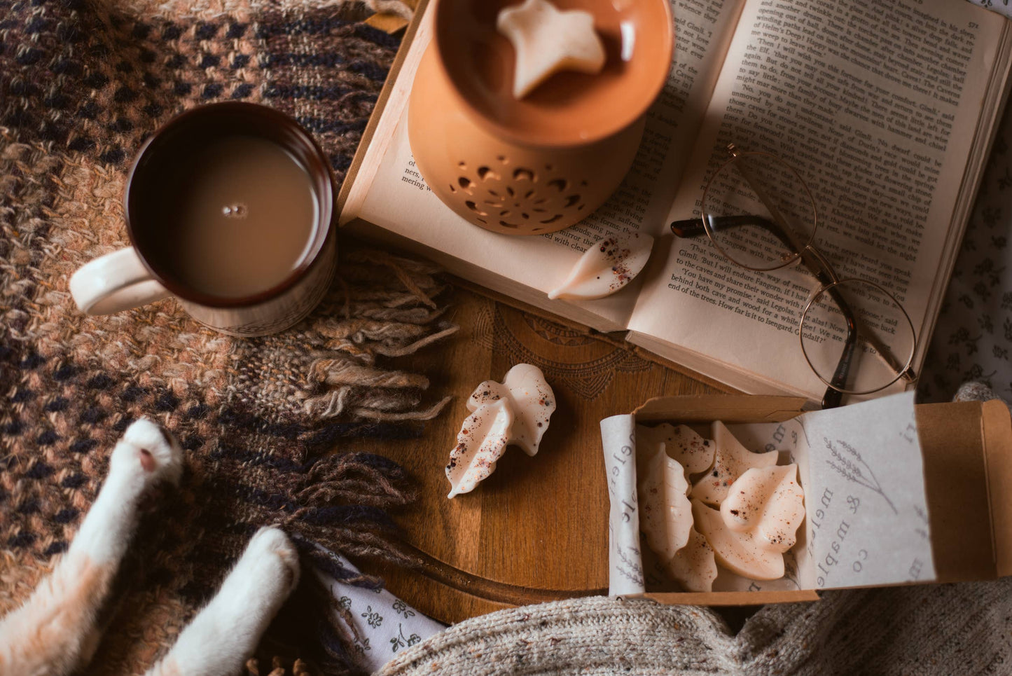 Autumn Spice Scented Leaves Shaped Wax Melts