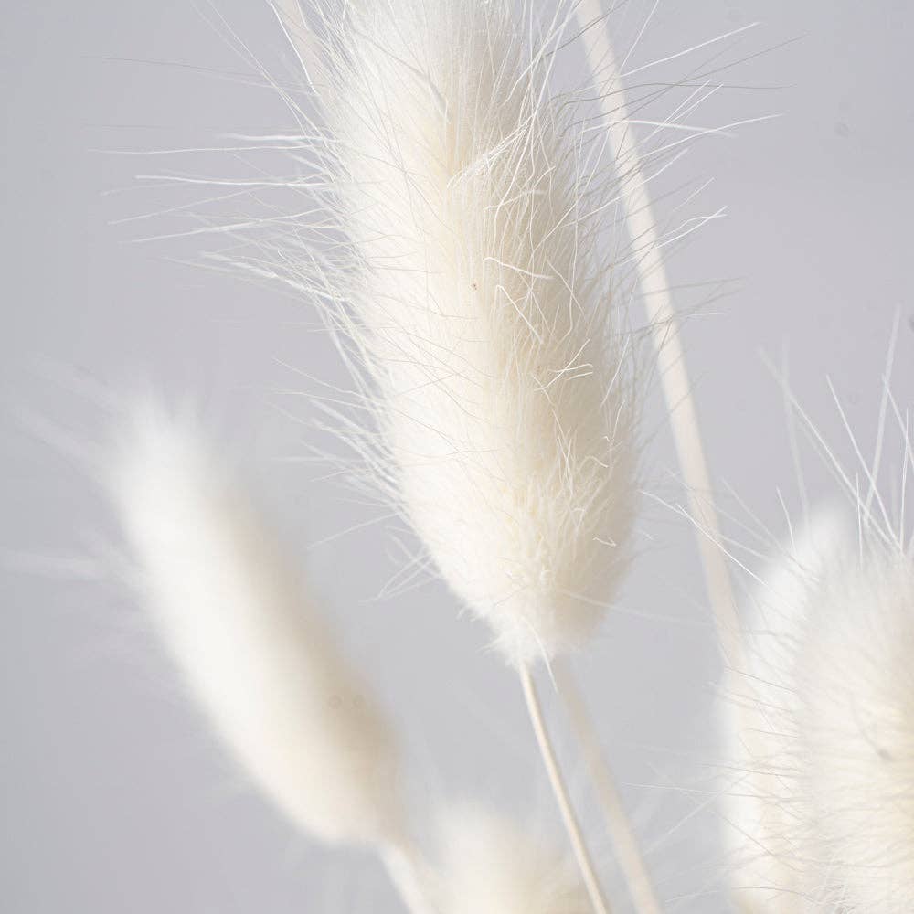 Bunny Tails White