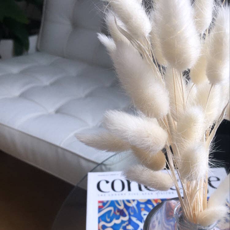Bunny Tails White