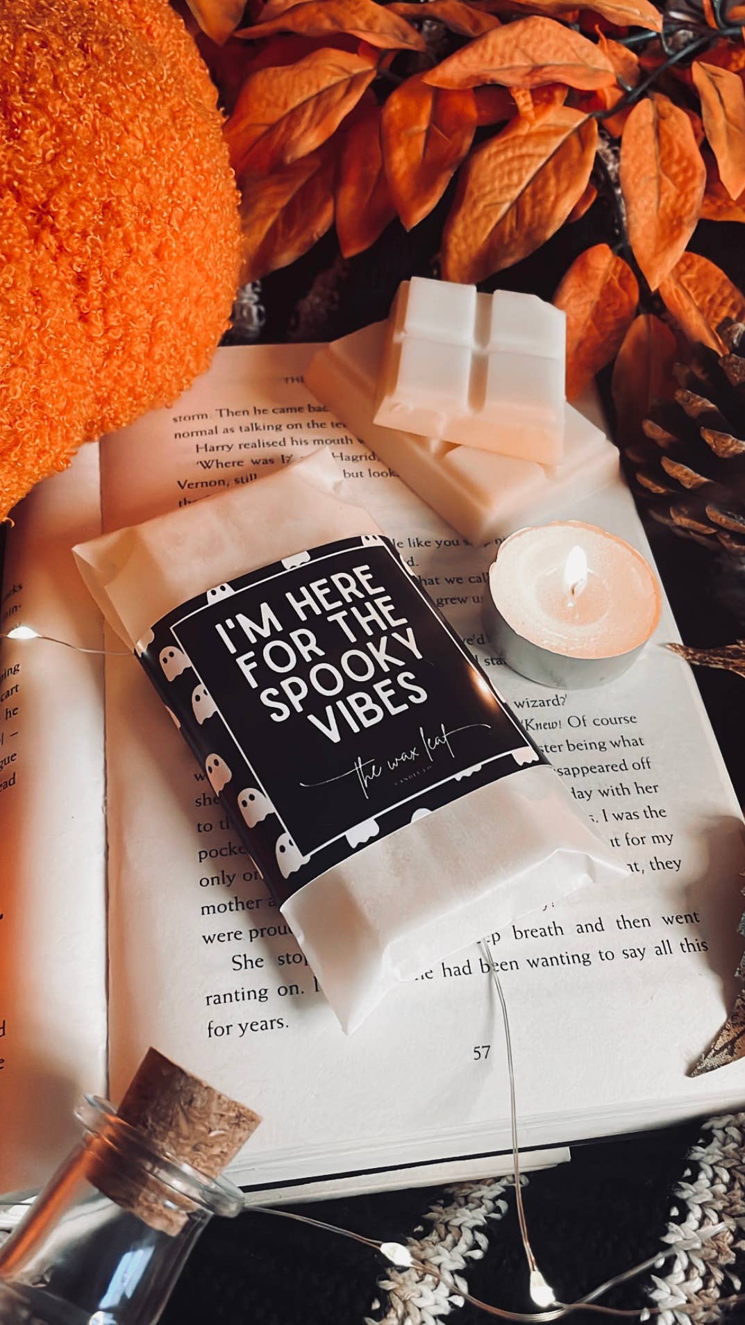 Here For The Spooky Vibes Autumn Soy Wax Melts