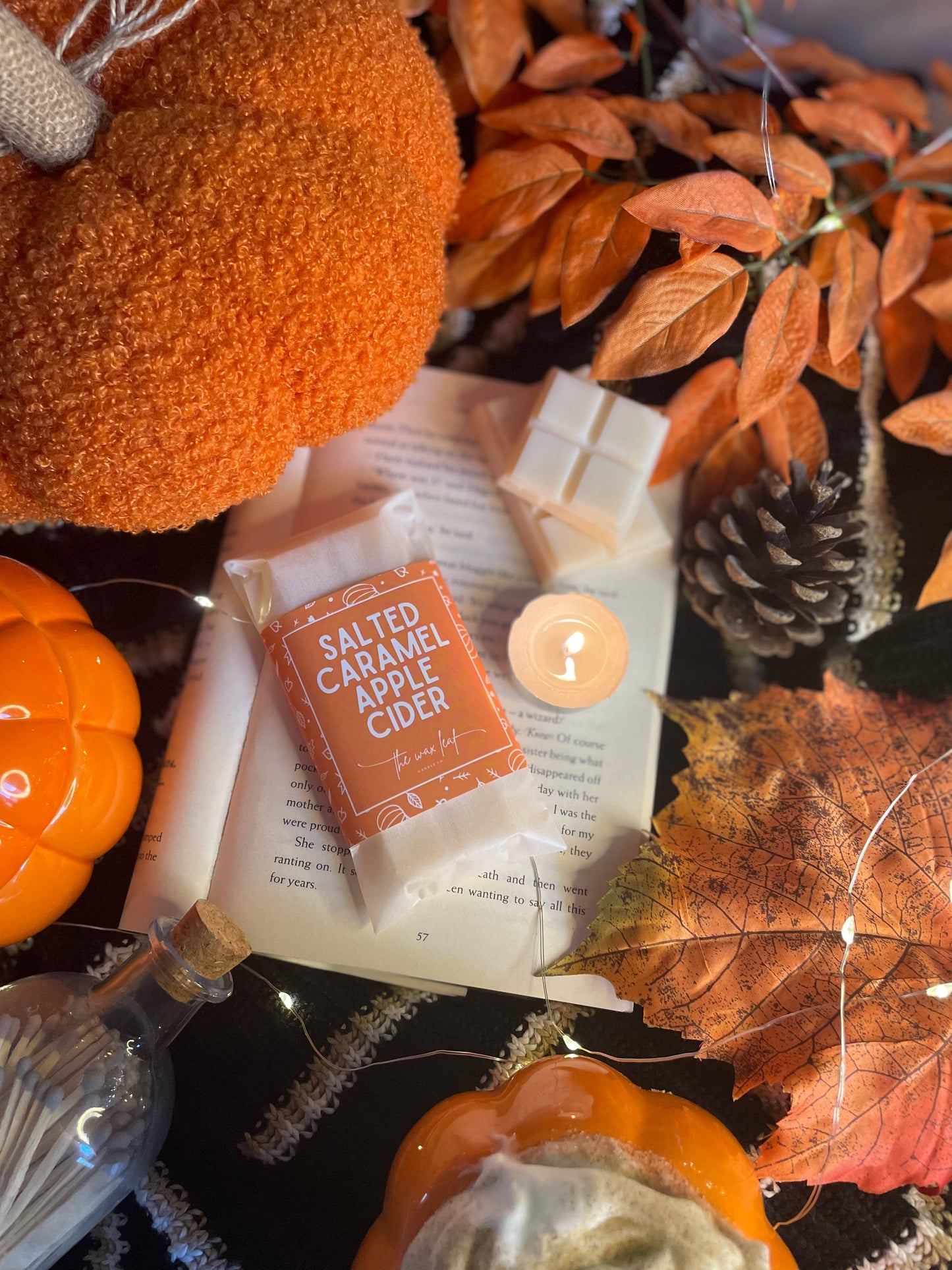 Autumn Soy Wax Melts, Salted Caramel Apple Cider