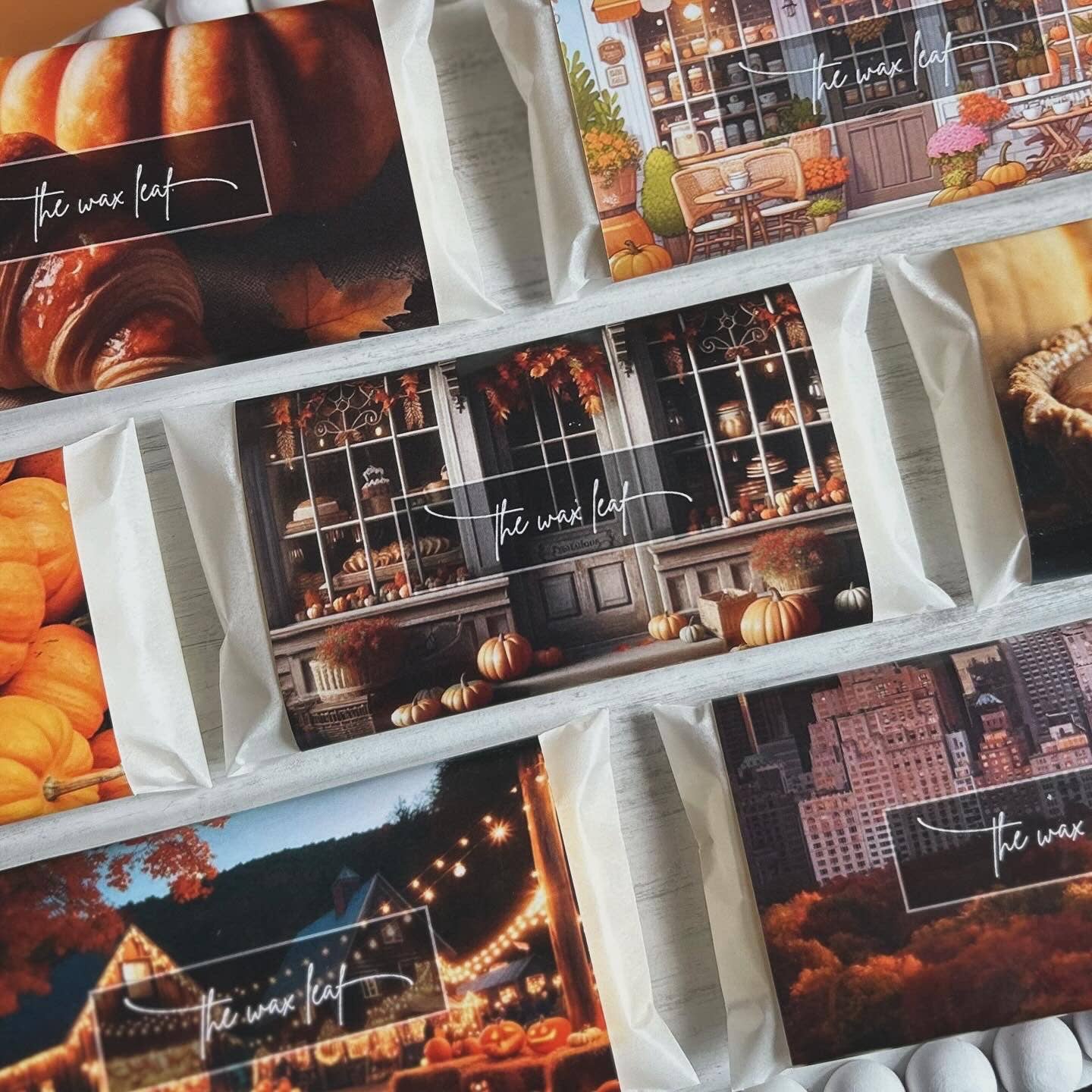 Frosted White Pumpkin Pie Scented Snap Bar Wax Melt