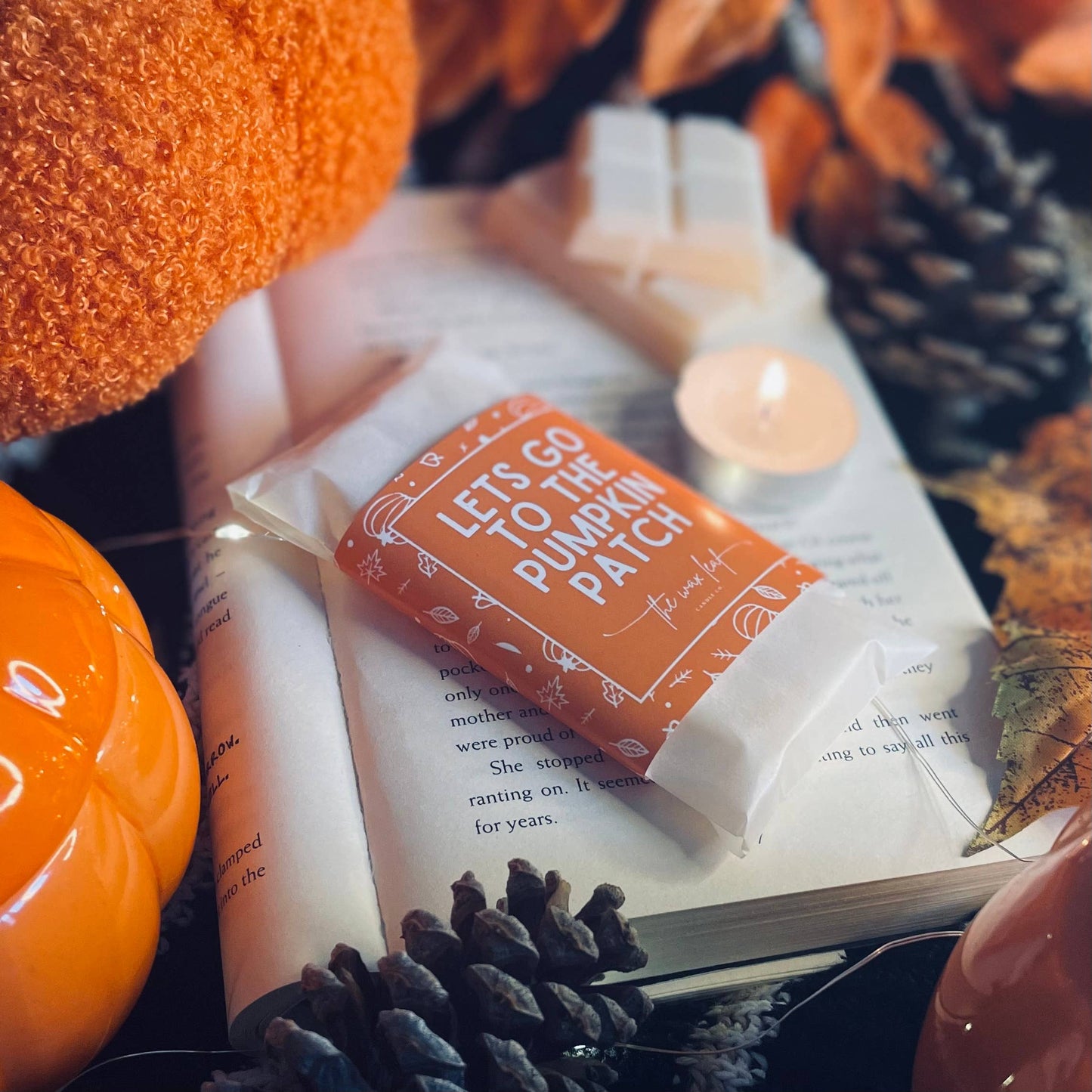 Let’s Go To The Pumpkin Patch Autumn Soy Wax Melts