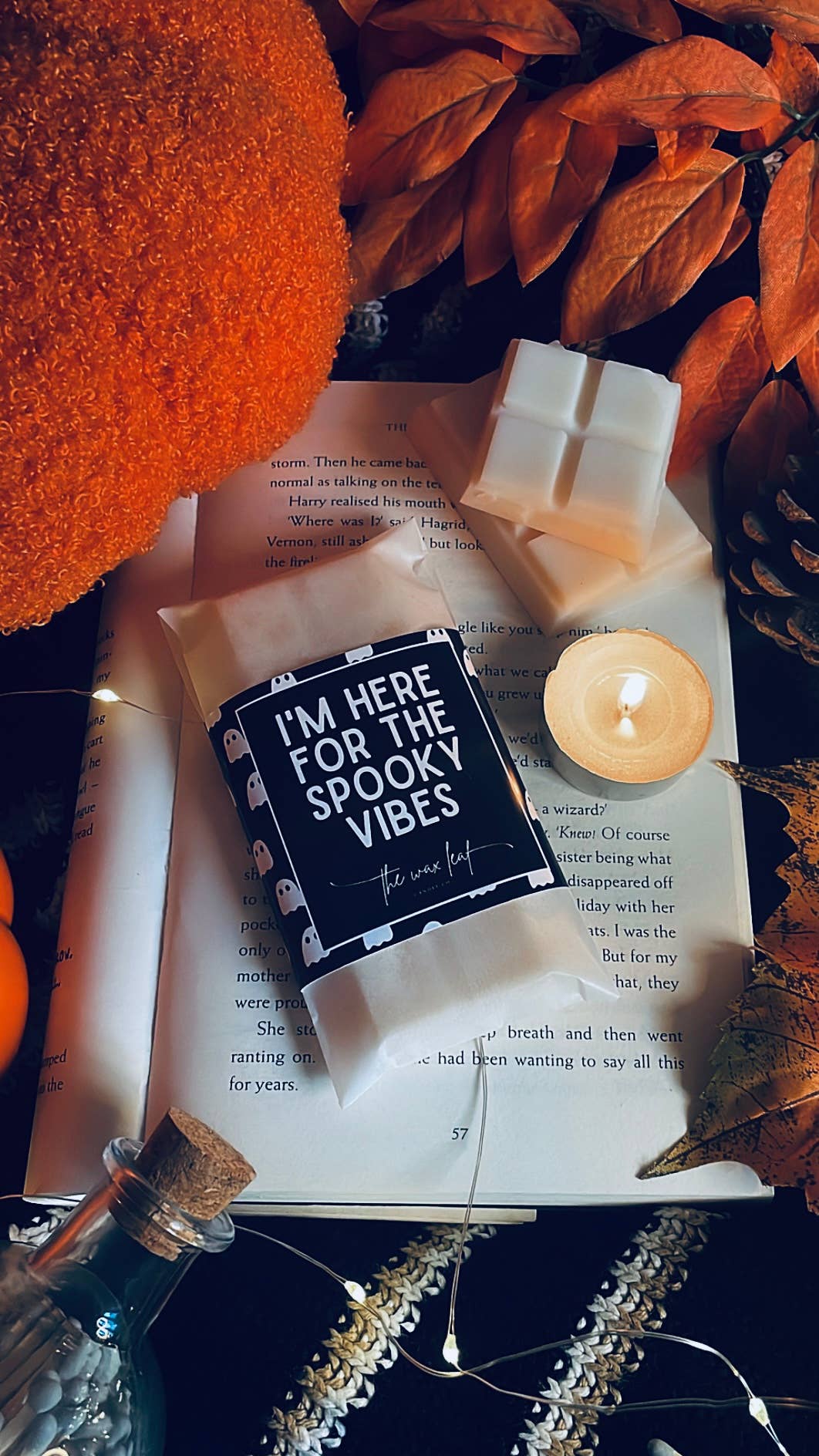 Here For The Spooky Vibes Autumn Soy Wax Melts