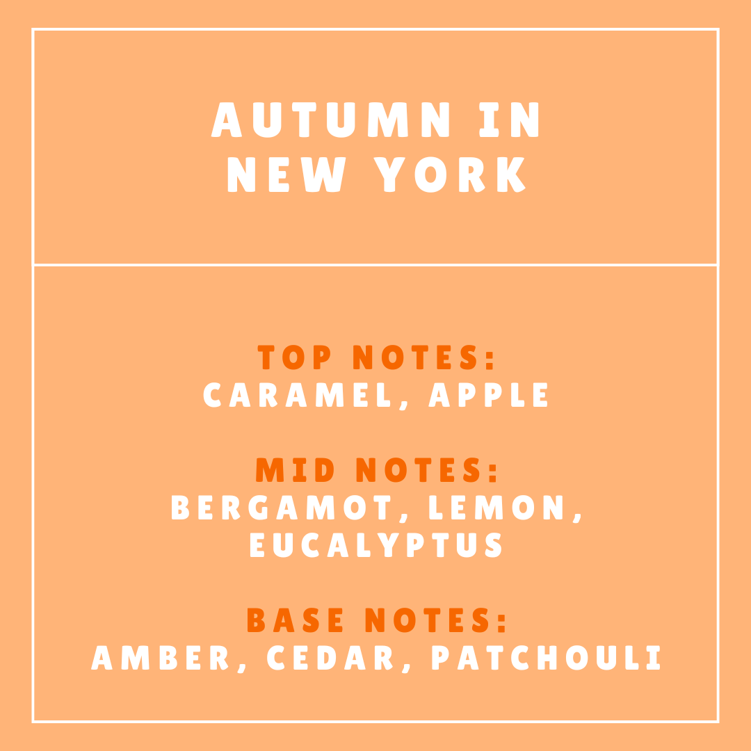 Autumn In New York Scented Snap Bar Wax Melt