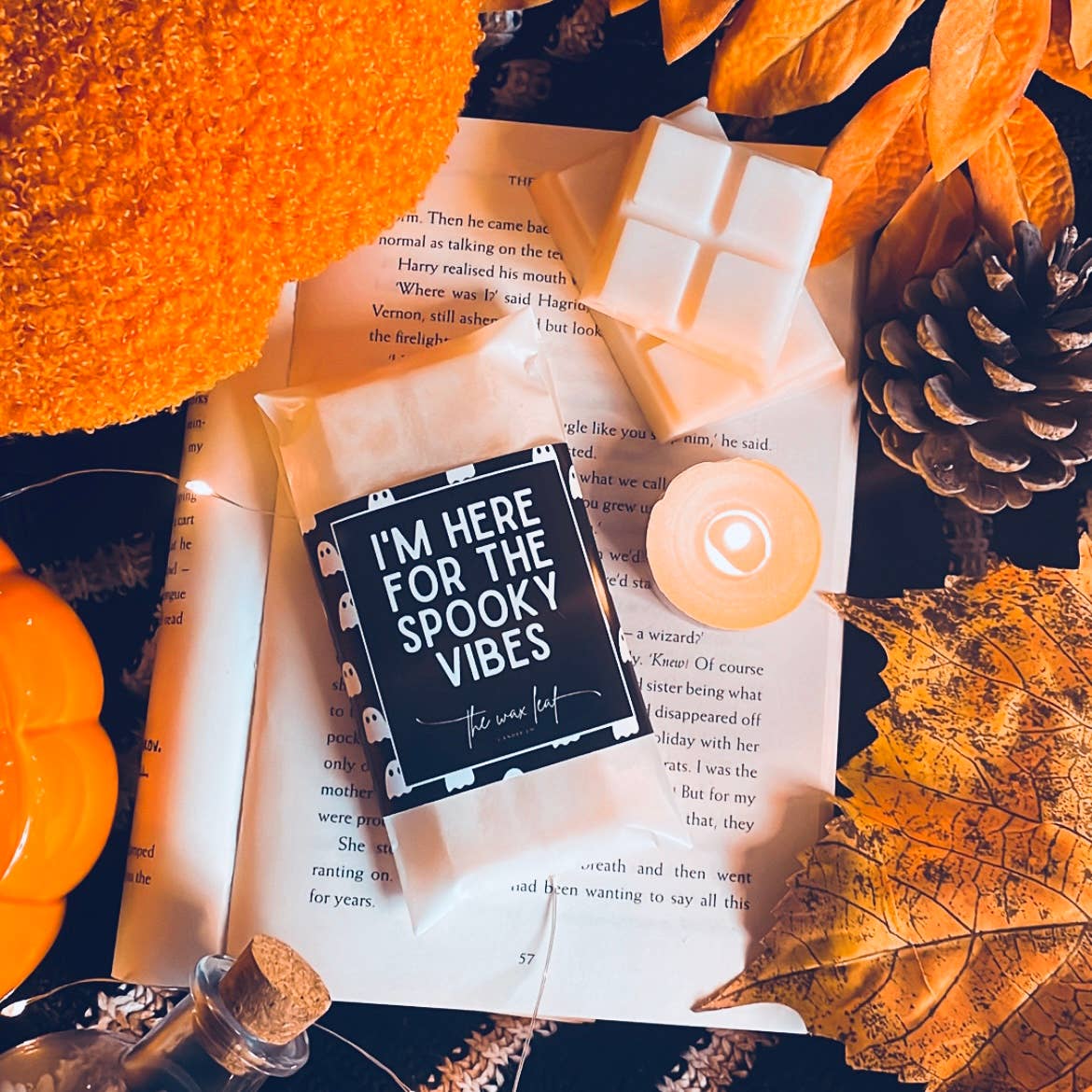 Here For The Spooky Vibes Autumn Soy Wax Melts