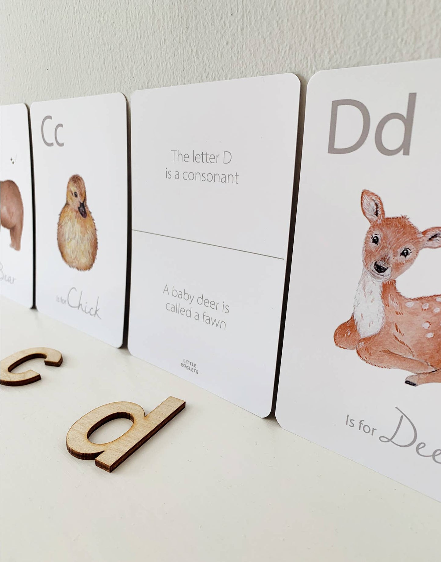 Animal Alphabet Flashcards